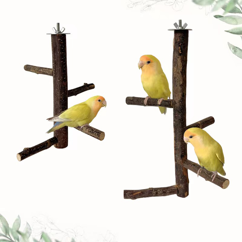 1Pcs Natural Apple Tree Wood B - đánh giá và giá Desk Setup Apple