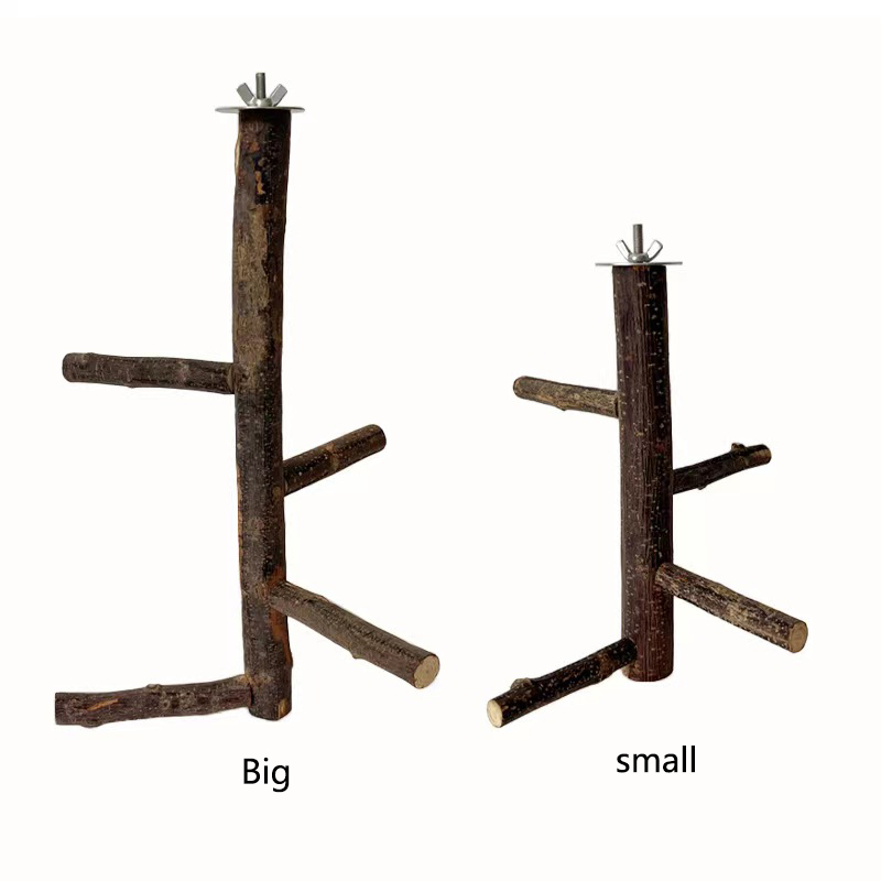 1Pcs Natural Apple Tree Wood B - đánh giá và giá Desk Setup Apple
