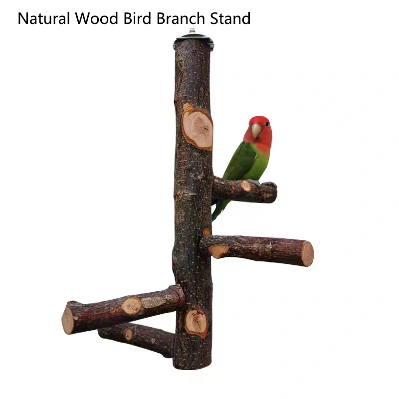 1Pcs Natural Apple Tree Wood B - đánh giá và giá Desk Setup Apple